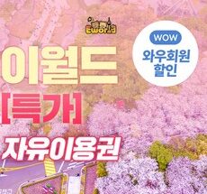 인기상품  전시회 Top5