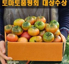 어쩌면 마지막기회  짭짤이토마토 베스트상품